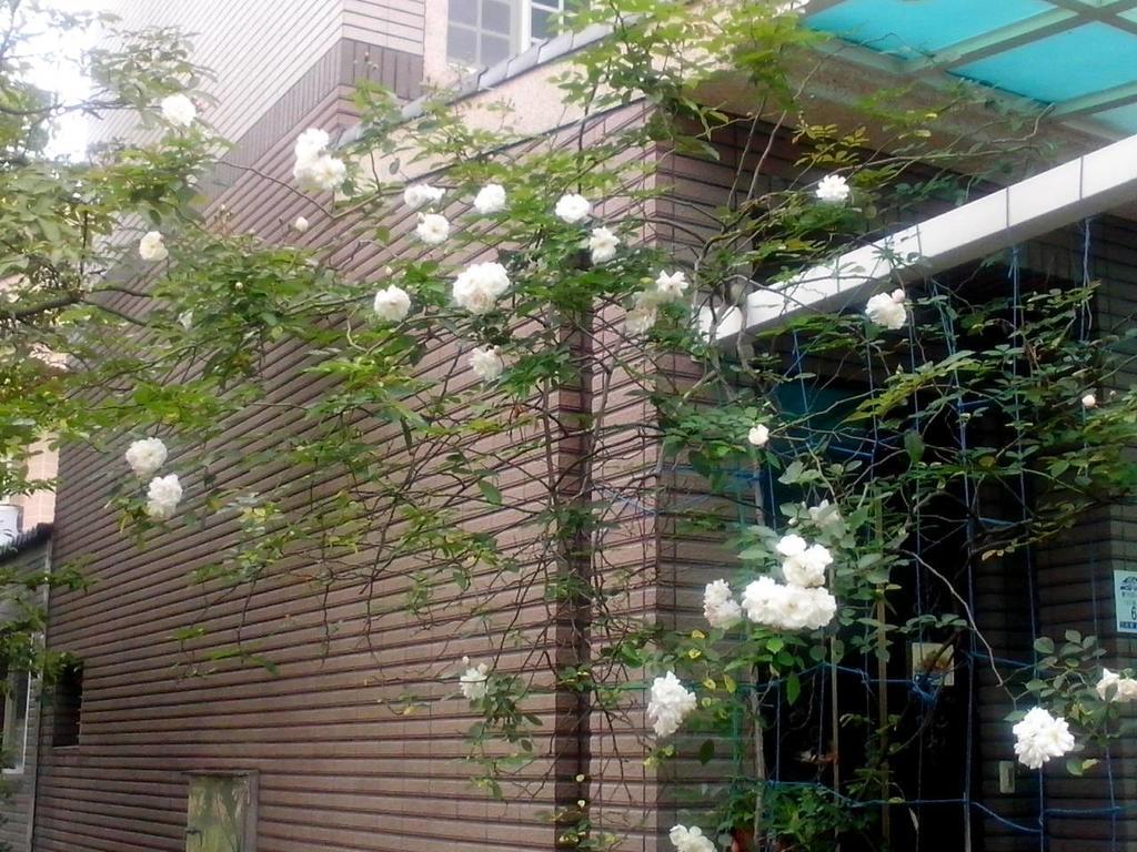 Fishforcats B&B 五结 外观 照片
